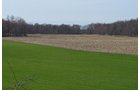 Tract 2 - REAL ESTATE & PERSONAL PROPERTY AUCTION, 140 Acres offered in 8 Tracts or Combinations in Steuben County